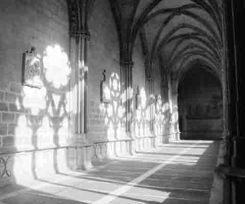 Light and shade in a cloister